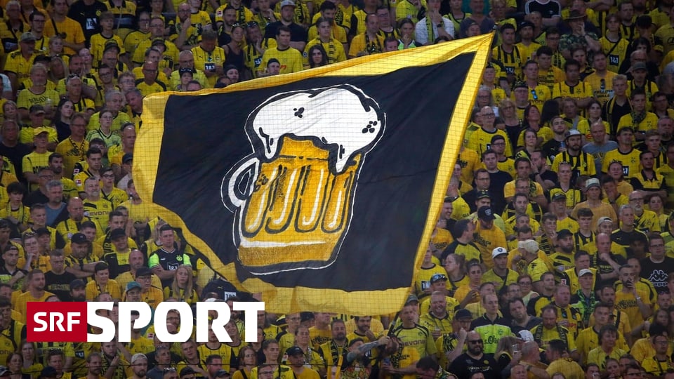 Versuch Im Frauenfussball - Alkoholverbot In Englischen Stadien Soll 