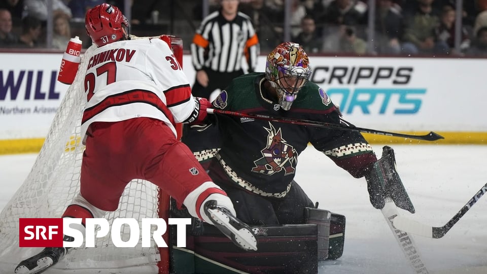 Arizona Coyotes Lose 8th Consecutive Game in NHL