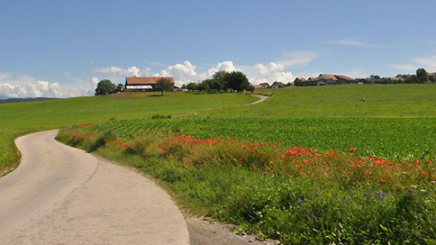 Fahrrad Akku Lässt Sich Nicht Mehr Laden