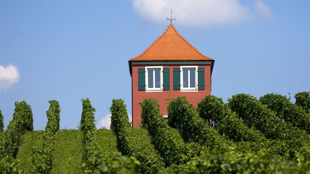 Blick Ins Hinterland Von Friedrichshafen Musikwelle Aktuell Srf